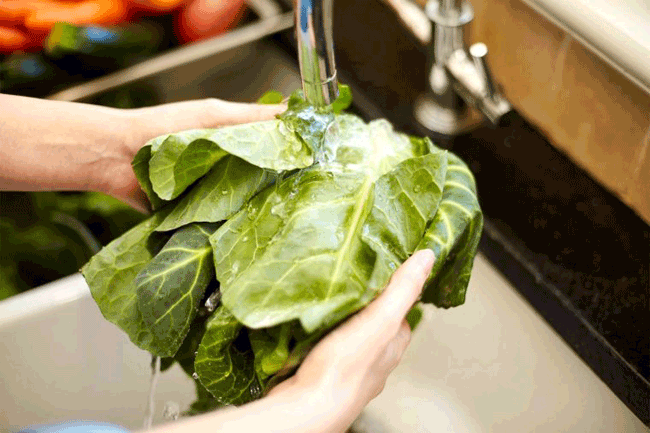 3. Phải rửa lại c&aacute;c nguy&ecirc;n liệu đ&atilde; đ&oacute;ng g&oacute;i sẵn: Theo Trung t&acirc;m Khoa học v&igrave; lợi &iacute;ch c&ocirc;ng cộng, rau xanh (như rau diếp, rau bina v&agrave; cải bắp) c&oacute; nhiều khả năng g&acirc;y ra vấn đề ti&ecirc;u h&oacute;a. L&yacute; do: Phần l&aacute; cắt dễ bị vi khuẩn tấn c&ocirc;ng hơn v&agrave; khối lượng lớn rau xanh được xử l&yacute; c&ugrave;ng nhau c&oacute; nghĩa l&agrave; nguy cơ nhiễm ch&eacute;o cao hơn. Để loại bỏ nguy cơ h&agrave;y, h&atilde;y rửa lại cả cả rau diếp đ&atilde; được sơ chế v&agrave; c&aacute;c loại rau xanh cắt sẵn kh&aacute;c.
