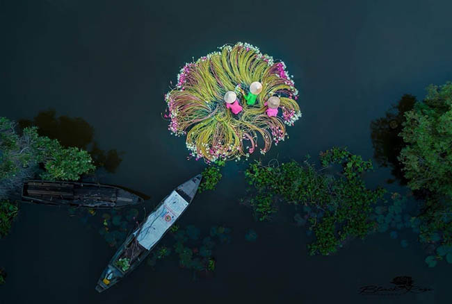 1. H&igrave;nh ảnh những c&ocirc; g&aacute;i mặc &aacute;o b&agrave; ba đang rửa hoa ở chợ T&acirc;n An. Ảnh: Phan Kh&aacute;nh.
