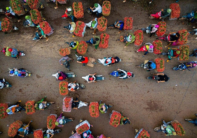 2. Người n&ocirc;ng d&acirc;n b&aacute;n vải thiều, thu hoạch v&agrave;o th&aacute;ng 6 h&agrave;ng năm. Ảnh: Tuấn Trần.
