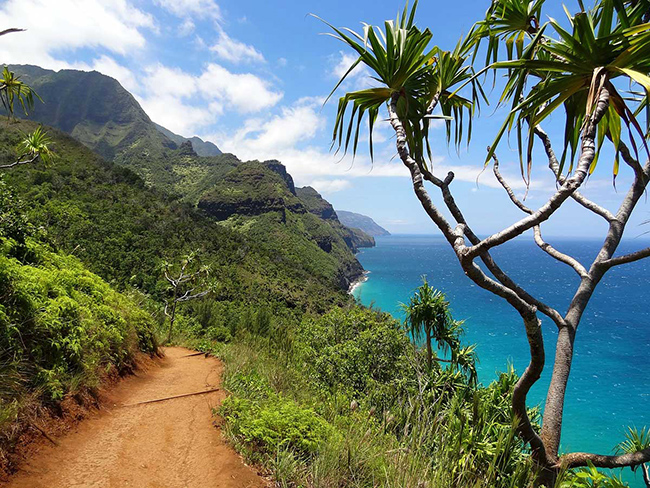 Kauai, Hawaii: Kauai được mệnh danh l&agrave; thi&ecirc;n đường ngo&agrave;i trời. H&ograve;n đảo Hawaii n&agrave;y c&oacute; tới 97% l&atilde;nh thổ nằm dưới c&aacute;c d&atilde;y n&uacute;i v&agrave; rừng. Đ&oacute; l&agrave; l&yacute; do tại sao Kauai l&agrave; h&ograve;n đảo Hawaii xanh nhất, được tạo ra cho những người y&ecirc;u thi&ecirc;n nhi&ecirc;n.
