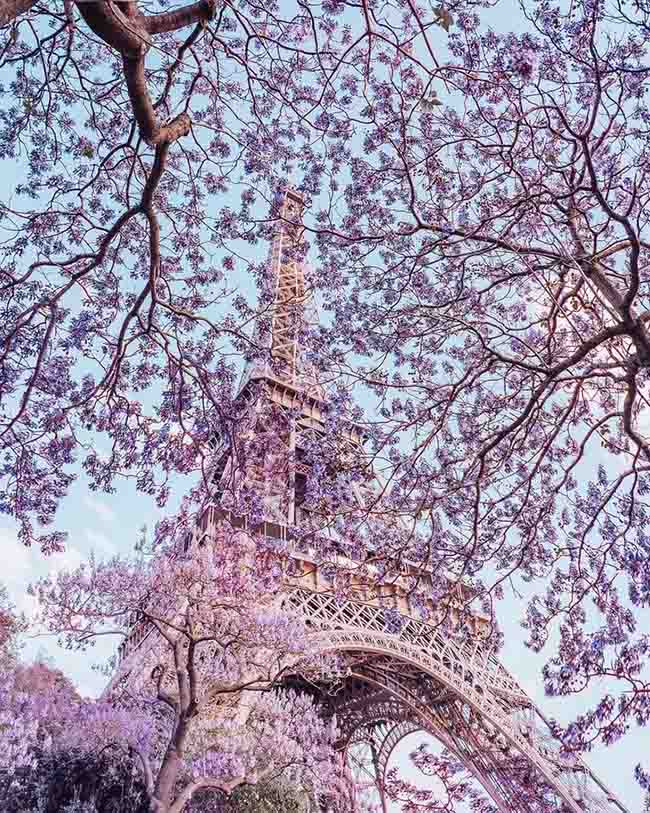 13. Khung cảnh m&ugrave;a xu&acirc;n dưới ch&acirc;n th&aacute;p Eiffel, Paris, Ph&aacute;p.

