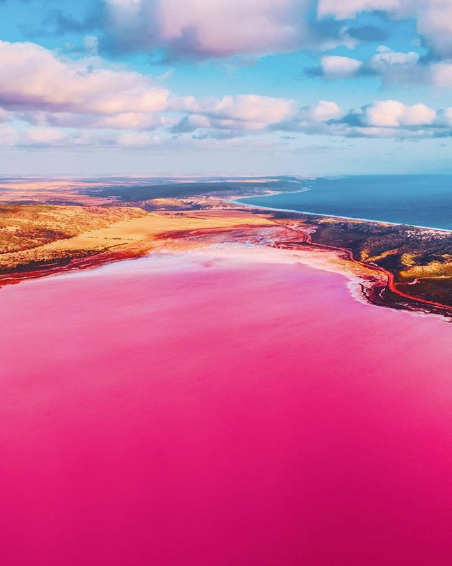16. Hồ nước m&agrave;u hồng Hutt Lagoon, Australia cực kỳ nổi tiếng.
