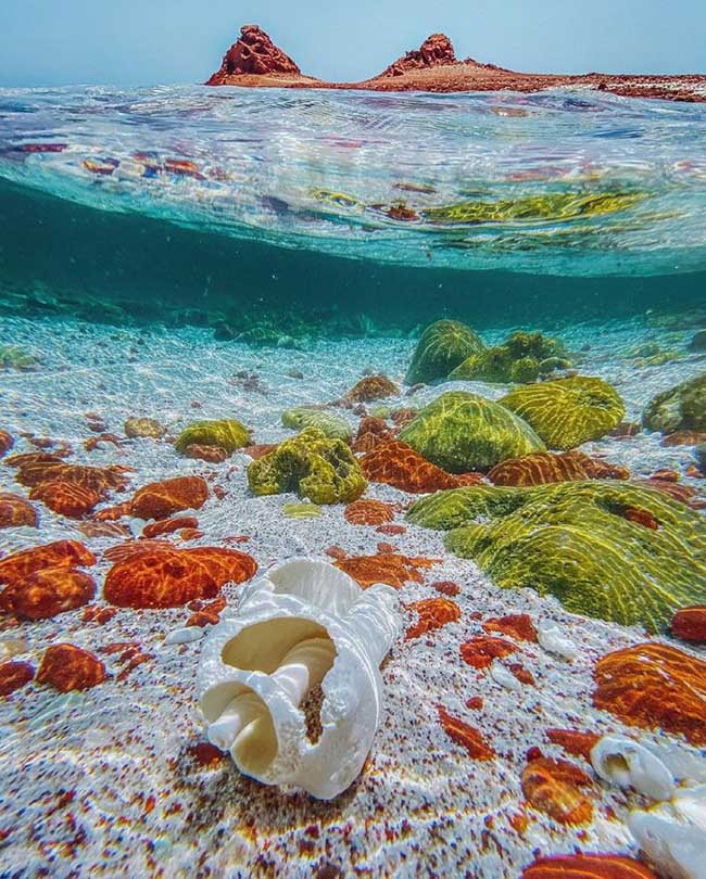 5. Đảo Socotra, Yemen l&agrave; một h&ograve;n hảo rất kỳ lạ, từ sự h&igrave;nh th&agrave;nh địa chất cho đến sự ph&aacute;t triển của c&aacute;c lo&agrave;i động thực vật, mọi thứ ở đ&acirc;y đều kh&aacute;c biệt v&agrave; kh&oacute; t&igrave;m thấy ở bất cứ nơi n&agrave;o kh&aacute;c tr&ecirc;n thế giới.

