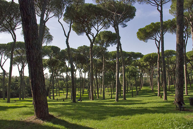 Villa Doria Pamphili - Rome, &Yacute;: Villa Doria Pamphili l&agrave; c&ocirc;ng vi&ecirc;n lớn nhất của Rome,&nbsp;c&oacute; kiến ​​tr&uacute;c tuyệt đẹp với những khu vườn được cắt tỉa cẩn thận v&agrave; tỉ mỉ, c&ugrave;ng c&aacute;c bức tượng v&agrave; bồn hoa lớn như một lời nhắc nhở về lịch sử h&agrave;o h&ugrave;ng của Rome.

