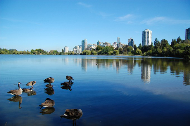 C&ocirc;ng vi&ecirc;n Stanley, Vancouver, Canada: L&agrave; c&ocirc;ng vi&ecirc;n nội đ&ocirc; lớn nhất của Canada, c&ocirc;ng vi&ecirc;n Stanley rộng hơn 400ha&nbsp;n&agrave;y được người d&acirc;n địa phương v&agrave; du kh&aacute;ch y&ecirc;u mến. Đ&acirc;y l&agrave; một trung t&acirc;m hoạt động ngo&agrave;i trời v&agrave; thậm ch&iacute; c&oacute; cả rạp chiếu phim dưới &aacute;nh trăng c&ugrave;ng c&aacute;c hồ nước...
