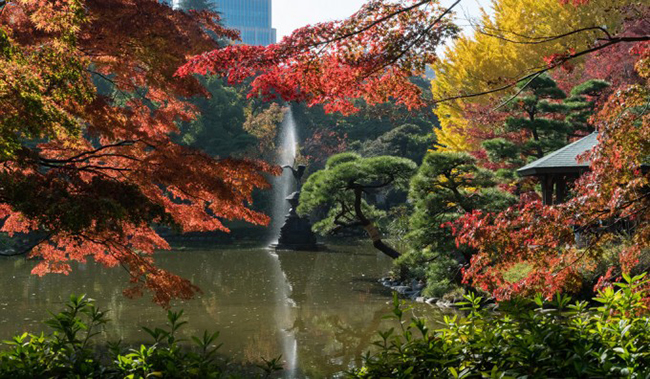 C&ocirc;ng vi&ecirc;n Hibiya, Tokyo, Nhật Bản: C&ocirc;ng vi&ecirc;n Hibiya l&agrave; c&ocirc;ng vi&ecirc;n tuyệt đẹp, một nơi thư gi&atilde;n ho&agrave;n hảo trong th&agrave;nh phố. Ở đ&acirc;y kh&ocirc;ng chỉ c&oacute;&nbsp;thảm hoa rực rỡ&nbsp;v&agrave; hoa anh đ&agrave;o, m&agrave; c&ograve;n c&oacute; nh&agrave; h&aacute;t c&ugrave;ng d&agrave;n nhạc sống ấn tượng...
