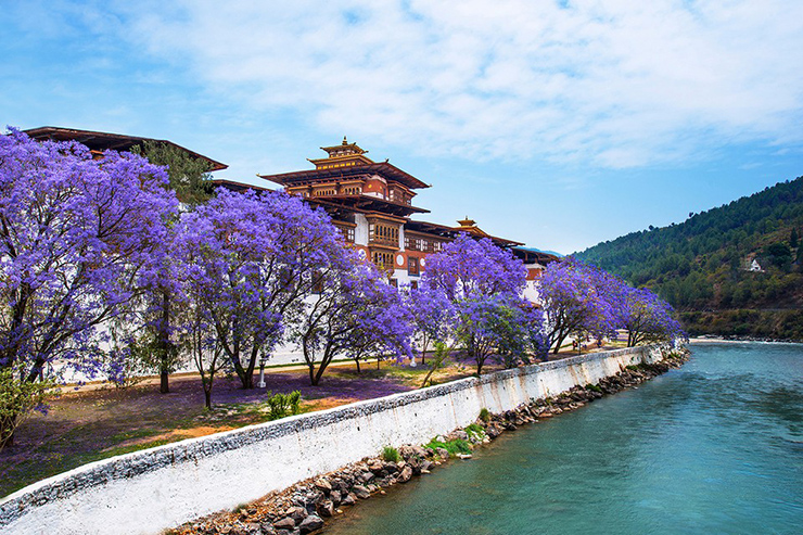 Punakha Dzong: L&agrave; cung điện rất nổi tiếng của Bhutan, nơi tổ chức lễ hội với điệu nhảy Punakha Tsechu ngoạn mục của người T&acirc;y Tạng.&nbsp;
