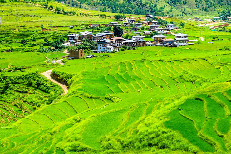 Trang trại v&agrave; sản phẩm hữu cơ: Bhutan l&agrave; quốc gia tự h&agrave;o c&oacute; ng&agrave;nh n&ocirc;ng nghiệp 100% l&agrave; hữu cơ v&agrave; mức độ che phủ của rừng kh&aacute; lớn (72%). Đến Bhutan, bạn sẽ được thưởng thức đa số l&agrave; thực phẩm hữu cơ tươi v&agrave; rất ngon.&nbsp;
