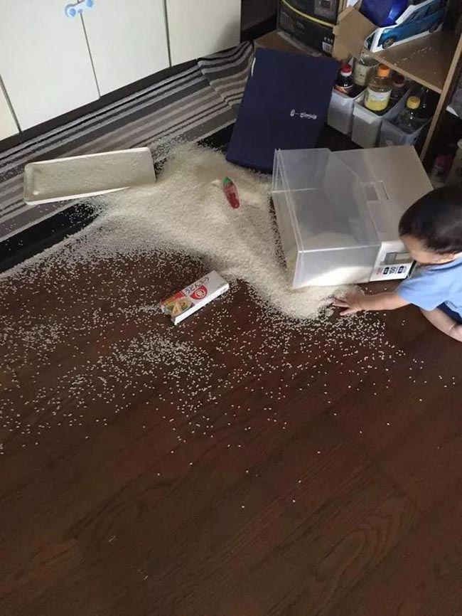 2.C&oacute; vẻ như ngồi tr&ecirc;n đống gạo sẽ giống như ngồi tr&ecirc;n b&atilde;i c&aacute;t mịn chăng?
