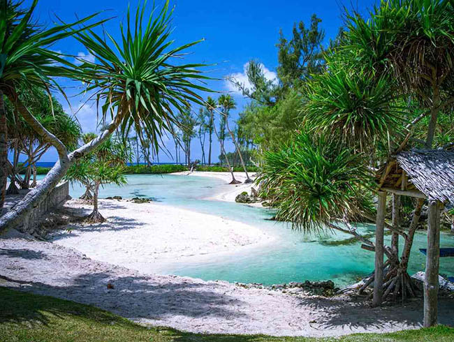 11.Vanuatu

Vanuatu được chọn l&agrave; quốc gia hạnh ph&uacute;c nhất h&agrave;nh tinh, vẫn giữ được vẻ đẹp của thi&ecirc;n nhi&ecirc;n v&agrave; người d&acirc;n th&igrave; tốt bụng v&agrave; th&acirc;n thiện.


