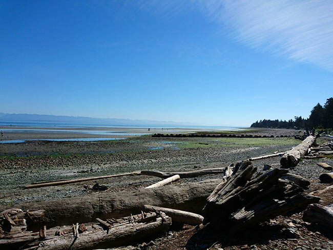 8.Aberdeen, Scotland

Aberdeen l&agrave; th&agrave;nh phố lớn thứ 3 ở Scotland, nơi n&agrave;y c&oacute; nhiều l&acirc;u đ&agrave;i cổ nằm tr&ecirc;n v&aacute;ch đ&atilde; v&agrave; một đường bờ biển rất hấp dẫn.


