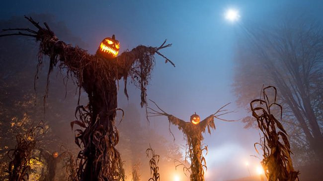 Haunted Overload (Lee, New Hampshire): Bạn đ&atilde; lu&ocirc;n muốn nh&igrave;n thấy những con qu&aacute;i vật đi lang thang trong trang trại v&agrave;o vụ m&ugrave;a bội thu của sự sợ h&atilde;i? H&atilde;y đến ngay điểm thu h&uacute;t Halloween h&agrave;ng đầu của New England.
