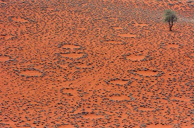 V&ograve;ng tr&ograve;n cổ t&iacute;ch, Namibia: L&agrave; những mảng tr&ograve;n, rải r&aacute;c tr&ecirc;n sa mạc Namibia. Đ&acirc;y cũng l&agrave; một địa điểm m&agrave; c&aacute;c nh&agrave; khoa học chưa đưa ra được lời giải th&iacute;ch hợp l&yacute; nhất.
