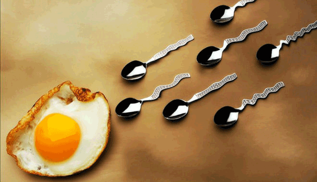 1. Tinh trùng và tinh dịch là hai thứ khác nhau. Nhiều người dễ nhầm lẫn 2 thuật ngữ này với nhau. Theo chuyên gia vô sinh, bác sĩ nội tiết F. Nicholas Shamma: "Tinh dịch là thứ được tạo ra bởi dương vật trong quá trình xuất tinh. Còn tinh trùng là 1 phần của tinh dịch, là các tế bào có hình dáng giống như nòng nọc siêu nhỏ thực hiện nhiệm vụ thụ tinh cho trứng. Nếu một tinh trùng có nhiễm sắc thể X thụ tinh với trứng, hợp tử sẽ là nữ, nếu tinh trùng mang nhiễm sắc thể Y, thai nhi sẽ có giới tính nam”.