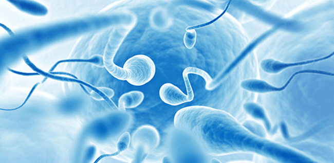 4. Trong những trường hợp quý ông xuất tinh sớm thường không có tinh trùng: Chất lỏng tiết ra lúc mới vào “cuộc yêu” là dịch tiết tuyến tiền liệt, còn gọi là chất lỏng từ tuyến tiền liệt. Tuy nhiên, xuất tinh sớm không chứa tinh trùng vẫn có thể khiến bạn mắc các bệnh lây truyền qua đường tình dục nếu làm “chuyện ấy” không an toàn.