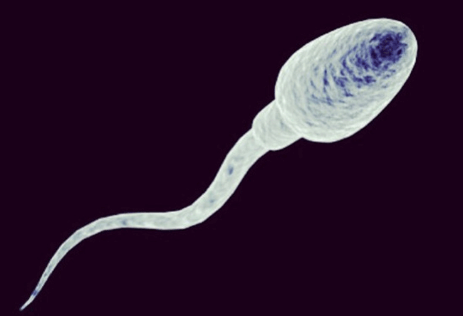 8. Không có cách nào để đàn ông thay đổi mùi hoặc vị tinh dịch của họ: Chưa có một nghiên cứu chính thức nào chứng minh được rằng, quý ông ăn nhiều loại trái cây nào đó như kiwi, dứa sẽ khiến tinh dịch của họ có mùi vị tương tự.