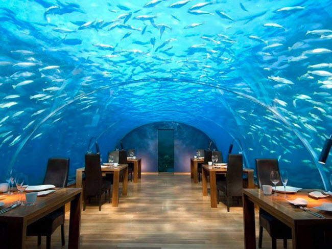 Ithaa Undersea, Maldives: Nh&agrave; h&agrave;ng nằm dưới biển c&aacute;ch mặt nước gần 5m, n&ecirc;n du kh&aacute;ch c&oacute; thể chi&ecirc;m ngưỡng c&aacute; bơi lội b&ecirc;n ngo&agrave;i qua lớp k&iacute;nh trong suốt.
