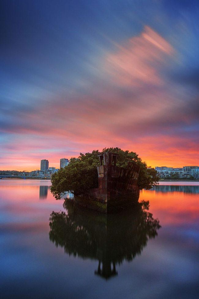 Rừng nổi, Australia: T&agrave;u SS Ayrfield nằm trong một nghĩa địa t&agrave;u, nhưng n&oacute; l&agrave; sự kh&aacute;c biệt duy nhất bởi c&oacute; những c&acirc;y đước xanh h&ugrave;ng vĩ đ&atilde; mọc v&agrave; che k&iacute;n con t&agrave;u.