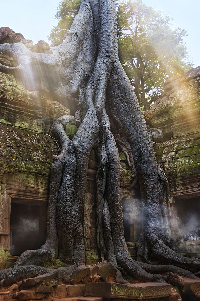 Đền Ta Prohm, Campuchia: Ng&ocirc;i đền nổi tiếng ở Angkor Wat, Campuchia đ&atilde; bị bỏ hoang sau sự sụp đổ của đế chế v&agrave;o thế kỷ 17 v&agrave; sau h&agrave;ng trăm năm bị l&atilde;ng qu&ecirc;n đ&atilde; trở th&agrave;nh khu di t&iacute;ch nổi tiếng.&nbsp;