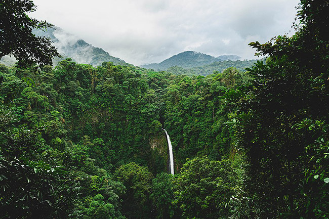 Costa Rica: Quốc gia "gồ ghề", được bao phủ bởi rừng nhiệt đới v&agrave; v&ocirc; c&ugrave;ng đa dạng n&agrave;y cũng rất được l&ograve;ng c&aacute;c cặp đ&ocirc;i lựa chọn l&agrave;m điểm đến trăng mật.&nbsp;