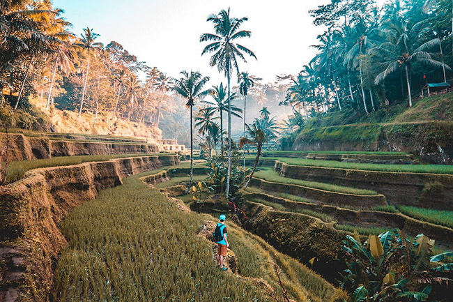 Bali: H&ograve;n đảo nhỏ của Indonesia n&agrave;y l&agrave; một sự hấp dẫn tuyệt vời khi n&oacute;i đến sự đa dạng của cảnh quan v&agrave; c&aacute;c hoạt động tại đ&acirc;y. Từ những b&atilde;i biển ho&agrave;n hảo đến th&aacute;c nước v&agrave; rừng rậm hấp dẫn đầy cơ hội để phi&ecirc;u lưu.&nbsp;