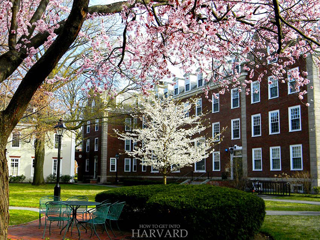 Đại học Harvard l&agrave; một trong những nơi được gh&eacute; thăm nhiều nhất ở Boston, v&agrave; thậm ch&iacute; to&agrave;n bộ khu vực Bờ biển ph&iacute;a Đ&ocirc;ng nước Mỹ.&nbsp;
