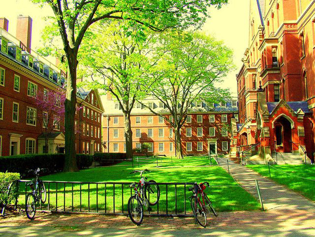 Vườn Harvard Yard rộng hơn 100.000m2 v&agrave; c&oacute; 25 cổng. Đ&acirc;y l&agrave; nơi c&oacute; thư viện, nh&agrave; thờ tưởng niệm v&agrave; cũng l&agrave; nơi diễn ra lễ tốt nghiệp Harvard h&agrave;ng năm.
