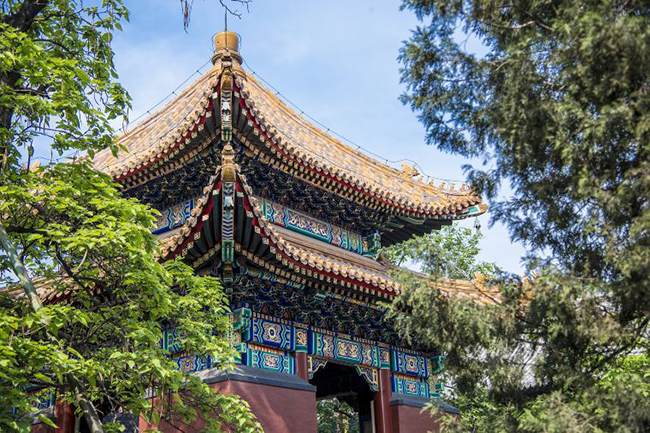 Du kh&aacute;ch c&oacute; thể tham quan miễn ph&iacute; đại học Bắc Kinh v&agrave;o thứ 7 v&agrave; chủ nhật hằng tuần, c&aacute;c ng&agrave;y trong tuần l&agrave; thời điểm sinh vi&ecirc;n l&ecirc;n lớp n&ecirc;n người ngo&agrave;i kh&ocirc;ng thể v&agrave;o.
