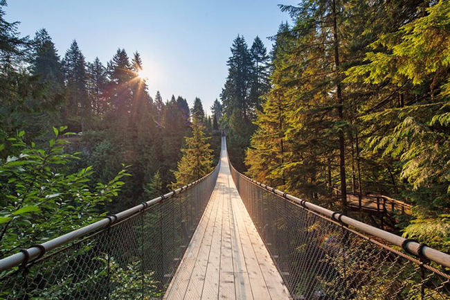 Cầu treo Capilano - Vancouver, Canada: Đ&acirc;y l&agrave; c&acirc;y cầu d&agrave;nh cho người đi bộ cao 70m ph&iacute;a tr&ecirc;n s&ocirc;ng Capilano, trong t&aacute;n rừng Colombia thuộc Anh.&nbsp;