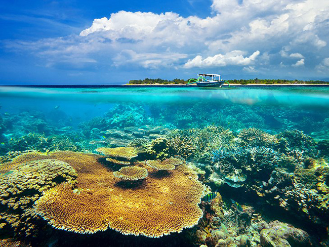 Quần đảo Gili: Quần đảo Gili l&agrave; một điểm thu h&uacute;t lớn ở Lombok. Những h&ograve;n đảo đẹp như tranh vẽ n&agrave;y mang đến những b&atilde;i biển s&aacute;nh ngang với Bali về vẻ lộng lẫy của ch&uacute;ng.
