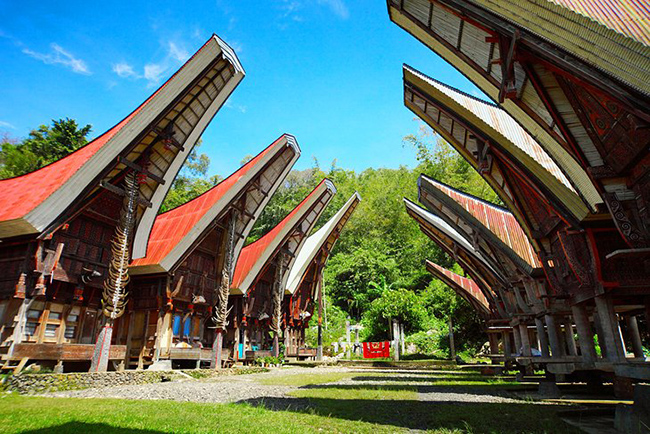 Tana Toraja: Một chuyến thăm đến Tana Toraja ở tỉnh Nam Sulawesi sẽ mang lại cảm gi&aacute;c như bạn đang quay ngược về qu&aacute; khứ v&agrave; mang đến một c&aacute;i nh&igrave;n về sự phong ph&uacute; v&agrave; đa dạng của nền văn h&oacute;a l&acirc;u đời của Indonesia.
