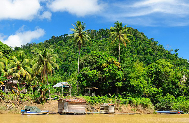 Kalimantan, Borneo: Một trong những nơi sinh th&aacute;i đa dạng nhất tr&ecirc;n tr&aacute;i đất, Borneo l&agrave; nơi sinh sống của đười ươi, chim kỳ lạ, t&ecirc; gi&aacute;c Sumatra, voi l&ugrave;n v&agrave; một loạt c&aacute;c sinh vật kh&aacute;c.

