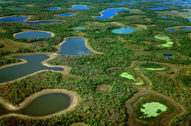 10. Pantanal

Pantanal l&agrave; khu vực tự nhi&ecirc;n chứa v&ugrave;ng đất ngập lớn nhiệt đới lớn nhất thế giới. Những đồng bằng ngập lụt trải d&agrave;i qua khu vực ph&iacute;a đ&ocirc;ng nam Brazil, Paraguay, Bolivia, trở th&agrave;nh điểm đến sinh th&aacute;i tuyệt vời được nhiều người y&ecirc;u th&iacute;ch.