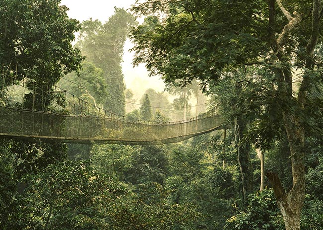 4. Ghana

Thủ đ&ocirc; Accra dường như l&agrave; nơi c&oacute; tất cả mọi thứ m&agrave; du kh&aacute;ch cần. Những du kh&aacute;ch muốn thư gi&atilde;n, sẽ bị thu h&uacute;t bới những b&atilde;i biển c&aacute;t trắng thanh b&igrave;nh của th&agrave;nh phố v&agrave; nhiều kh&aacute;ch sạn sang trọng.&nbsp;