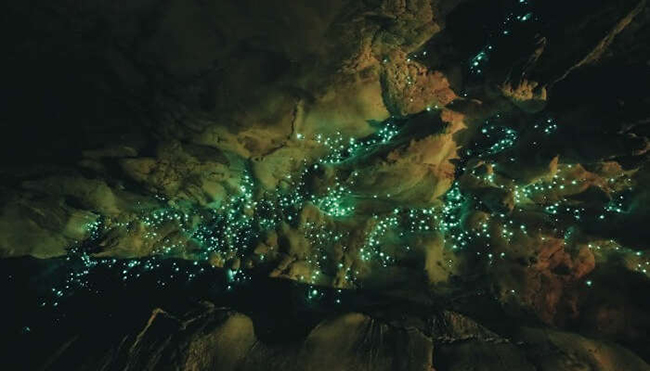 Hang động Waitomo ở New Zealand&nbsp;lu&ocirc;n ph&aacute;t s&aacute;ng lấp l&aacute;nh nhờ c&oacute; một lo&agrave;i giun ph&aacute;t ra &aacute;nh s&aacute;ng.
