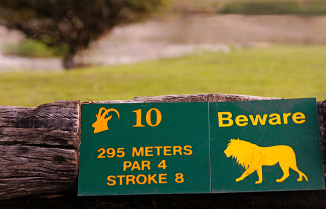 The Wild One - Skukuza, Nam Phi: V&agrave;o năm 2014, một người chơi golf tại s&acirc;n Skukuza đ&atilde; bị một con c&aacute; sấu giết chết. Nằm ở trung t&acirc;m của c&ocirc;ng vi&ecirc;n quốc gia Kruger, Skukuza l&agrave; một s&acirc;n golf thường xuy&ecirc;n bị x&acirc;m chiếm bởi c&aacute;c lo&agrave;i động vật hoang d&atilde;, c&oacute; nghĩa l&agrave; bạn vừa chơi vừa lu&ocirc;n phải ch&uacute; &yacute; đến m&ocirc;i trường xung quanh.&nbsp;