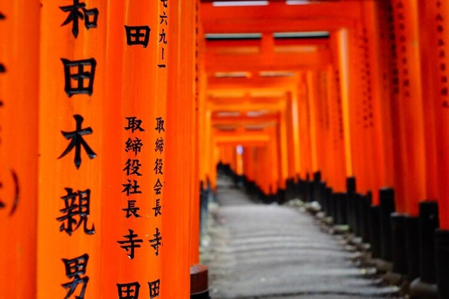 Fushi-Inari Taisha: L&agrave; đền thờ Thần đạo quan trọng nhất của Nhật Bản, Fushimi Inari c&oacute; từ năm 711 sau C&ocirc;ng nguy&ecirc;n v&agrave; rất nổi tiếng với h&agrave;ng ngh&igrave;n c&aacute;nh cổng torii m&agrave;u đỏ nằm dọc theo những con đường m&ograve;n tuyệt đẹp l&ecirc;n n&uacute;i Inari.
