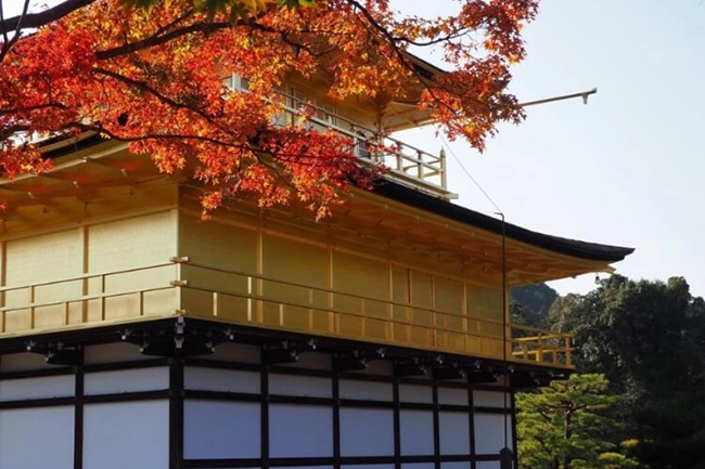 Kinkaku-ji: Kinkaku-Ji l&agrave; một ng&ocirc;i ch&ugrave;a tuyệt đẹp ở g&oacute;c t&acirc;y bắc của Kyoto v&agrave; l&agrave; di t&iacute;ch lịch sử h&agrave;ng đầu của th&agrave;nh phố. Với 2 tầng tr&ecirc;n c&ugrave;ng được d&aacute;t v&agrave;ng, nằm b&ecirc;n một hồ nước&nbsp;lấp l&aacute;nh v&agrave; được bao quanh bởi những khu vườn tuyệt đẹp, Kinkaku-Ji c&oacute;&nbsp;khung cảnh đẹp như tranh vẽ, nhất l&agrave; v&agrave;o m&ugrave;a thu.

