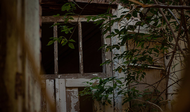 Sau một thời gian d&agrave;i, trang vi&ecirc;n Meck&rsquo;s Manor trở th&agrave;nh t&agrave;i sản của nh&agrave; nước. L&uacute;c đ&oacute;, người ta sử dụng nơi n&agrave;y như một nơi nu&ocirc;i dưỡng những đứa trẻ mồ c&ocirc;i do chiến tranh.
