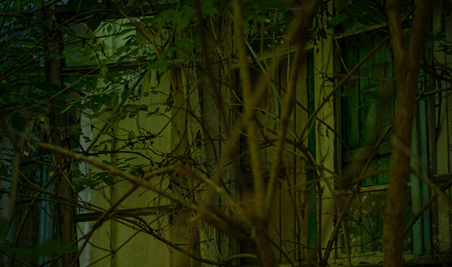 Hiện tại, chủ sở hữu kh&ocirc;ng bảo vệ v&agrave; sửa chữa trang vi&ecirc;n n&agrave;y. Người ta c&oacute; kế hoạch b&aacute;n đấu gi&aacute; trang vi&ecirc;n nhưng &iacute;t c&oacute; người đ&aacute;p ứng được điều kiện đấu gi&aacute; n&ecirc;n n&oacute; bị bỏ hoang từ năm n&agrave;y sang năm kh&aacute;c.
