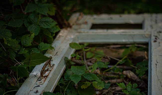 Tất cả mọi thứ b&ecirc;n trong t&ograve;a nh&agrave; đều bị mục n&aacute;t, khiến người ta c&oacute; cảm gi&aacute;c như n&oacute; c&oacute; thể sập bất cứ l&uacute;c n&agrave;o. Cầu thang v&agrave; tầng hầm đ&atilde; bị hư hỏng nặng do l&acirc;u ng&agrave;y kh&ocirc;ng được sửa chữa, hầu hết c&aacute;c kết cấu bằng gỗ đ&atilde; mục n&aacute;t, chỉ cần kh&ocirc;ng ch&uacute; &yacute; c&oacute; thể gặp nguy hiểm ngay.
