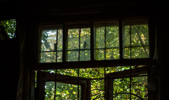 Nadezda l&agrave; một người phụ nữ t&agrave;i năng v&agrave; đa năng, b&agrave; l&agrave; một nghệ sĩ nổi tiếng trong lịch sử nước Nga.&nbsp;Nhưng v&igrave; sự nghiệp của chồng, b&agrave; chọn c&aacute;ch ở nh&agrave; chăm s&oacute;c v&agrave; nu&ocirc;i dưỡng con c&aacute;i. Thế nhưng kh&ocirc;ng thể phủ nhận rằng, th&agrave;nh c&ocirc;ng chồng b&agrave; c&oacute; được c&oacute; c&ocirc;ng sức đ&oacute;ng g&oacute;p rất lớn từ người vợ.
