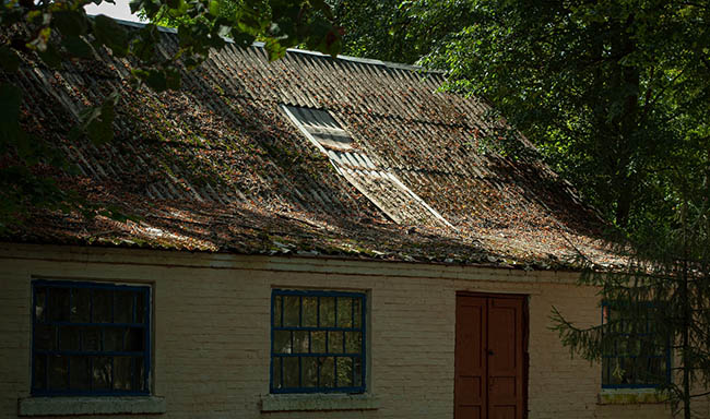 Sau c&aacute;i chết của chồng, Nadezda được thừa hưởng khối t&agrave;i sản khổng lồ v&agrave; trở th&agrave;nh người phụ nữ gi&agrave;u nhất nước Nga l&uacute;c bấy giờ.&nbsp;Điều đ&aacute;ng buồn thay, cuộc sống của b&agrave; cũng thay đổi từ đ&oacute;.
