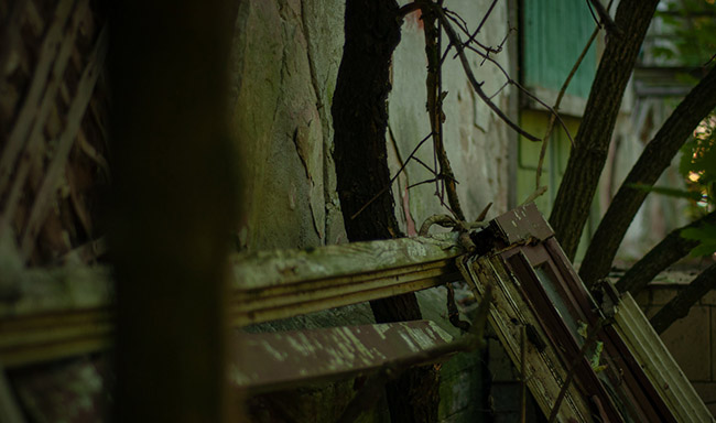 Nadezda từ chối mọi tương t&aacute;c x&atilde; hội v&agrave; &acirc;m nhạc đ&atilde; trở th&agrave;nh nguồn nu&ocirc;i dưỡng tinh thần của b&agrave;. Trước khi gặp Tchaikovsky, b&agrave; đ&atilde; t&agrave;i trợ cho một số nhạc sĩ nổi tiếng.&nbsp;Khi Nadezda nghe "The Tempest" của Tchaikovsky, b&agrave; dường như t&igrave;m lại được ch&iacute;nh m&igrave;nh.
