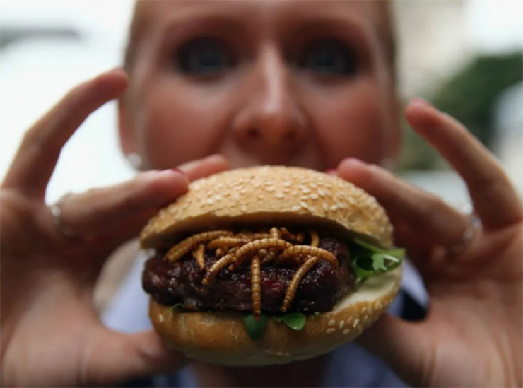 Ăn c&ocirc;n tr&ugrave;ng trong nh&agrave; h&agrave;ng: Người H&agrave; Lan l&agrave; những người ti&ecirc;n phong trong mọi lĩnh vực li&ecirc;n quan đến t&iacute;nh bền vững v&agrave; đổi mới, bao gồm cả ẩm thực. Ở H&agrave; Lan, bạn c&oacute; thể ăn m&oacute;n ăn c&ocirc;n tr&ugrave;ng trong nh&agrave; h&agrave;ng, với&nbsp;c&ocirc;n tr&ugrave;ng nguy&ecirc;n h&igrave;nh hoặc t&iacute;ch hợp trong c&aacute;c m&oacute;n ăn như hamburger&hellip;
