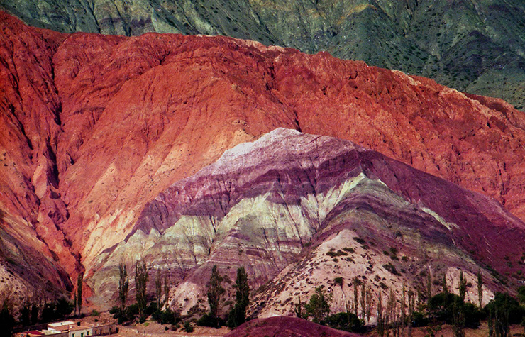 Quebrada de Humahuaca cũng c&oacute; thảo nguy&ecirc;n, đồng cỏ, đầm lầy v&agrave; m&ocirc;i trường ven s&ocirc;ng. C&oacute; nhiều lo&agrave;i thực vật kỳ lạ th&iacute;ch nghi được với m&ocirc;i trường ở đ&acirc;y.
