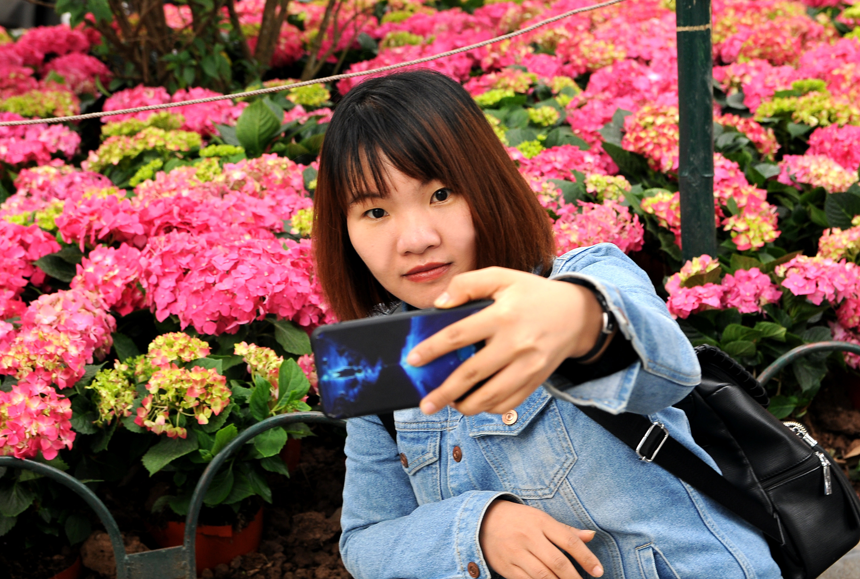 C&ocirc; g&aacute;i th&iacute;ch th&uacute; chụp ảnh b&ecirc;n vườn cẩm t&uacute; cầu