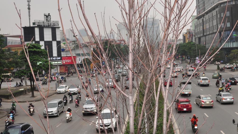 Anh Ho&agrave;ng V&acirc;n, một người thường xuy&ecirc;n đi l&agrave;m qua đường Nguyễn Ch&iacute; Thanh cho biết, kh&aacute; sốt ruột v&igrave; chờ đợi đ&atilde; l&acirc;u m&agrave; chưa thấy "m&atilde;n nh&atilde;n" với phong l&aacute; đỏ