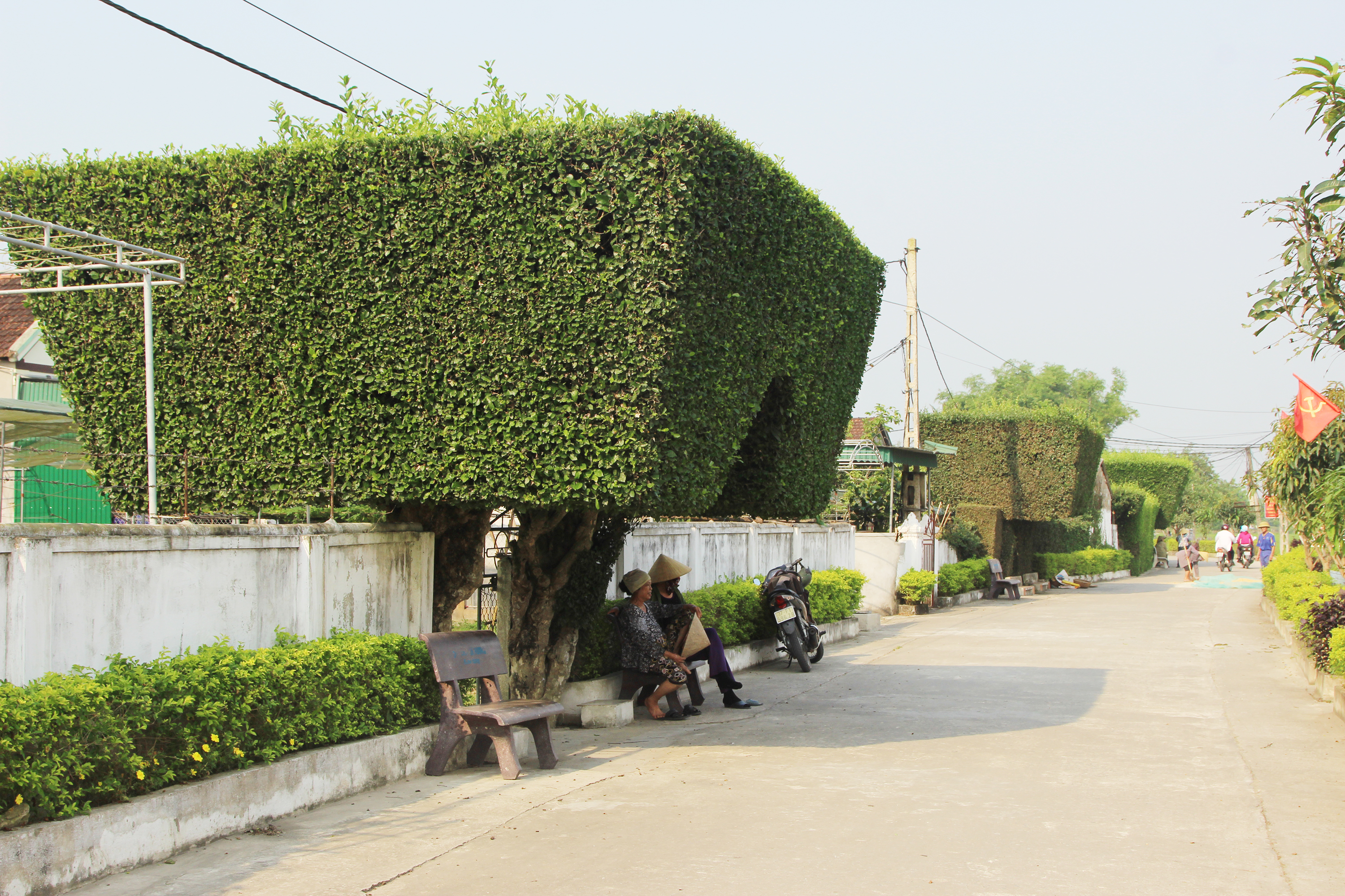 Về x&oacute;m Ch&acirc;u Nội, Ch&acirc;u Trinh của x&atilde; T&ugrave;ng Ảnh, huyện Đức Thọ, tỉnh H&agrave; Tĩnh du kh&aacute;ch sẽ kh&ocirc;ng khỏi &ldquo;sốc&rdquo; khi chứng kiến h&agrave;ng loạt cổng nh&agrave; &ldquo;độc nhất v&ocirc; nhị&rdquo; được l&agrave;m từ c&acirc;y xanh.