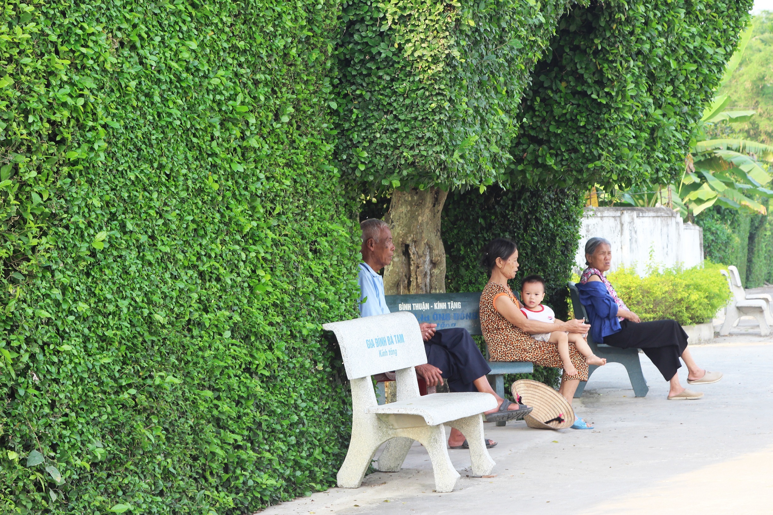 Những cổng nh&agrave; "xanh như ngọc" trở th&agrave;nh nơi ngồi m&aacute;t, t&acirc;m t&igrave;nh chuyện l&agrave;ng x&oacute;m trong những trưa h&egrave; bỏng r&aacute;t xứ Nghệ.